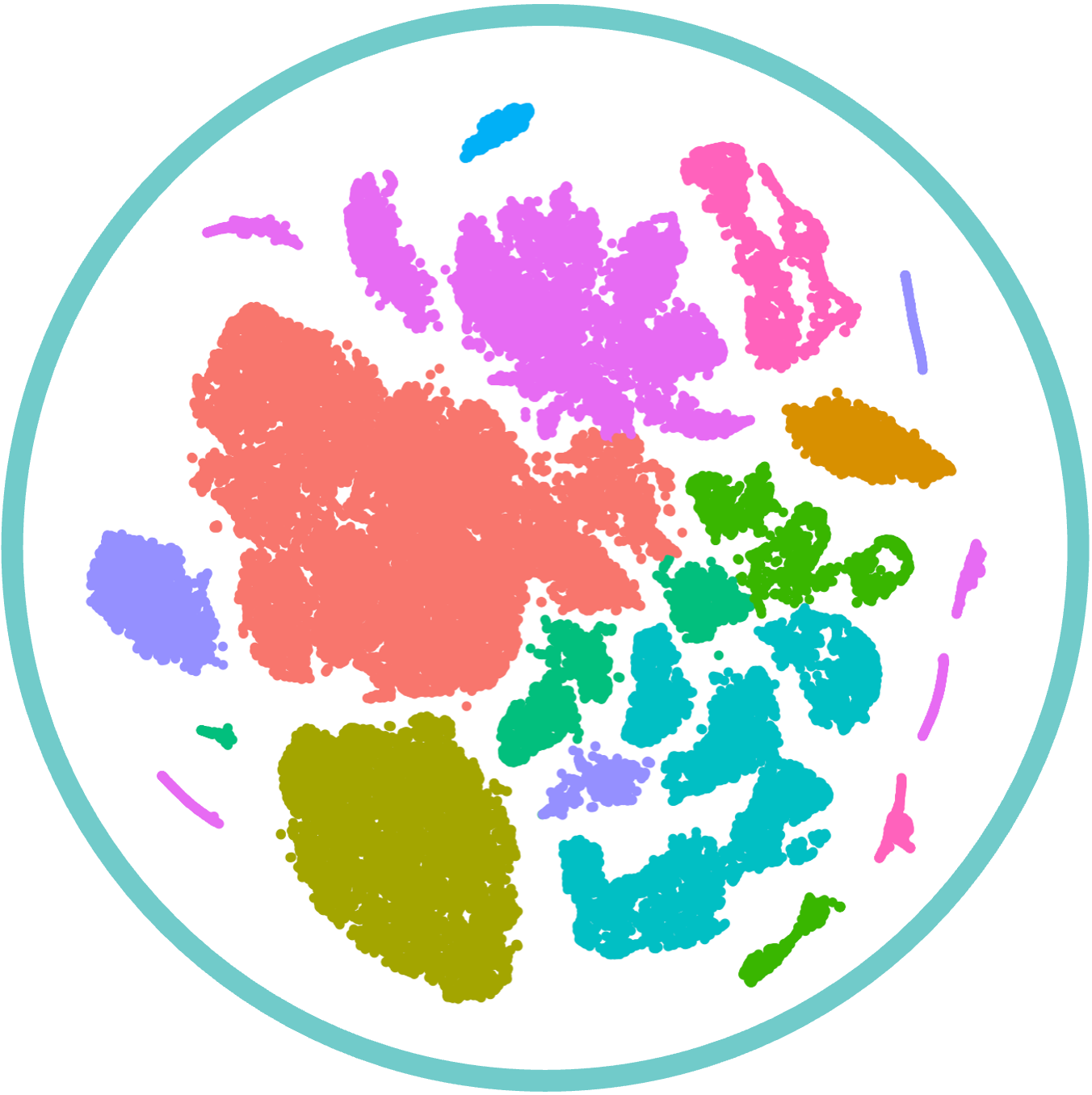 cluster TSNE