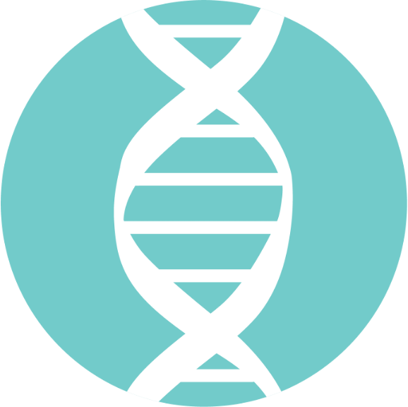 DNA helix